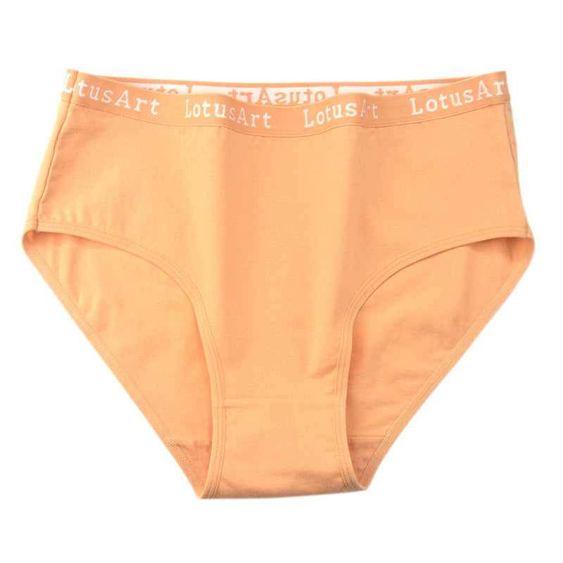 Women's Plus Size Cotton Mid-high Waist Underwear