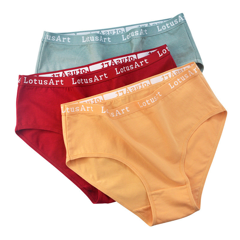Women's Plus Size Cotton Mid-high Waist Underwear
